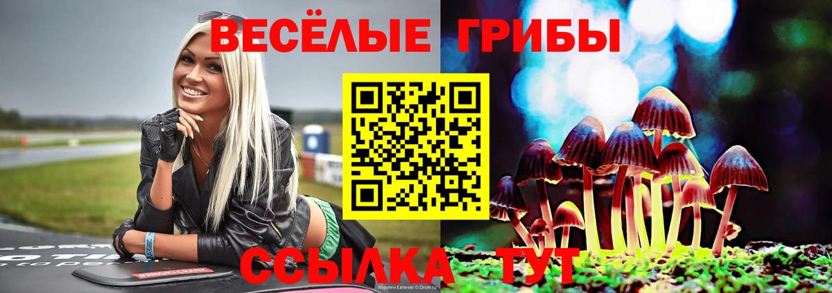 наркотики  Галлюциногенные грибы мицелий  Вход с VPN  Михайловск 